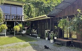 Casa Morpho