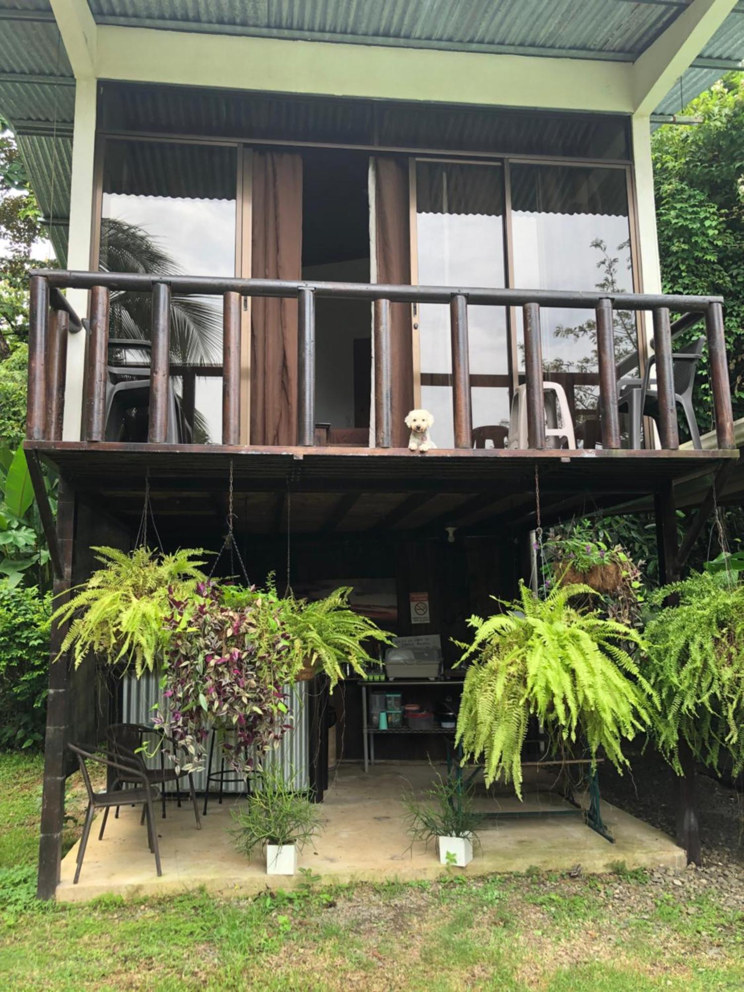 Villa Casa Morpho Uvita Exterior foto